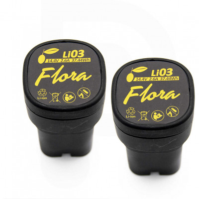Potatore a batteria Flora PCP 100 con 2 batterie 